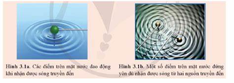 Ứng dụng của hiện tượng giao thoa sóng