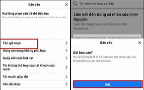 Chọn mục báo cáo