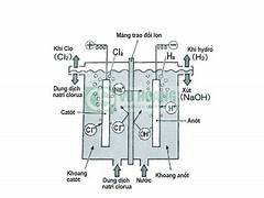 Lưu ý khi tiến hành phản ứng 