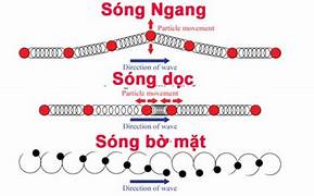 Phân biệt sóng ngang và sóng dọc