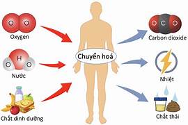 Ví dụ trong thực tiễn