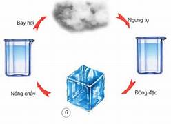 Các dạng chuyển thể cơ bản