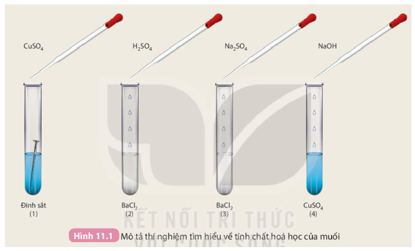 Ứng dụng thực tiễn